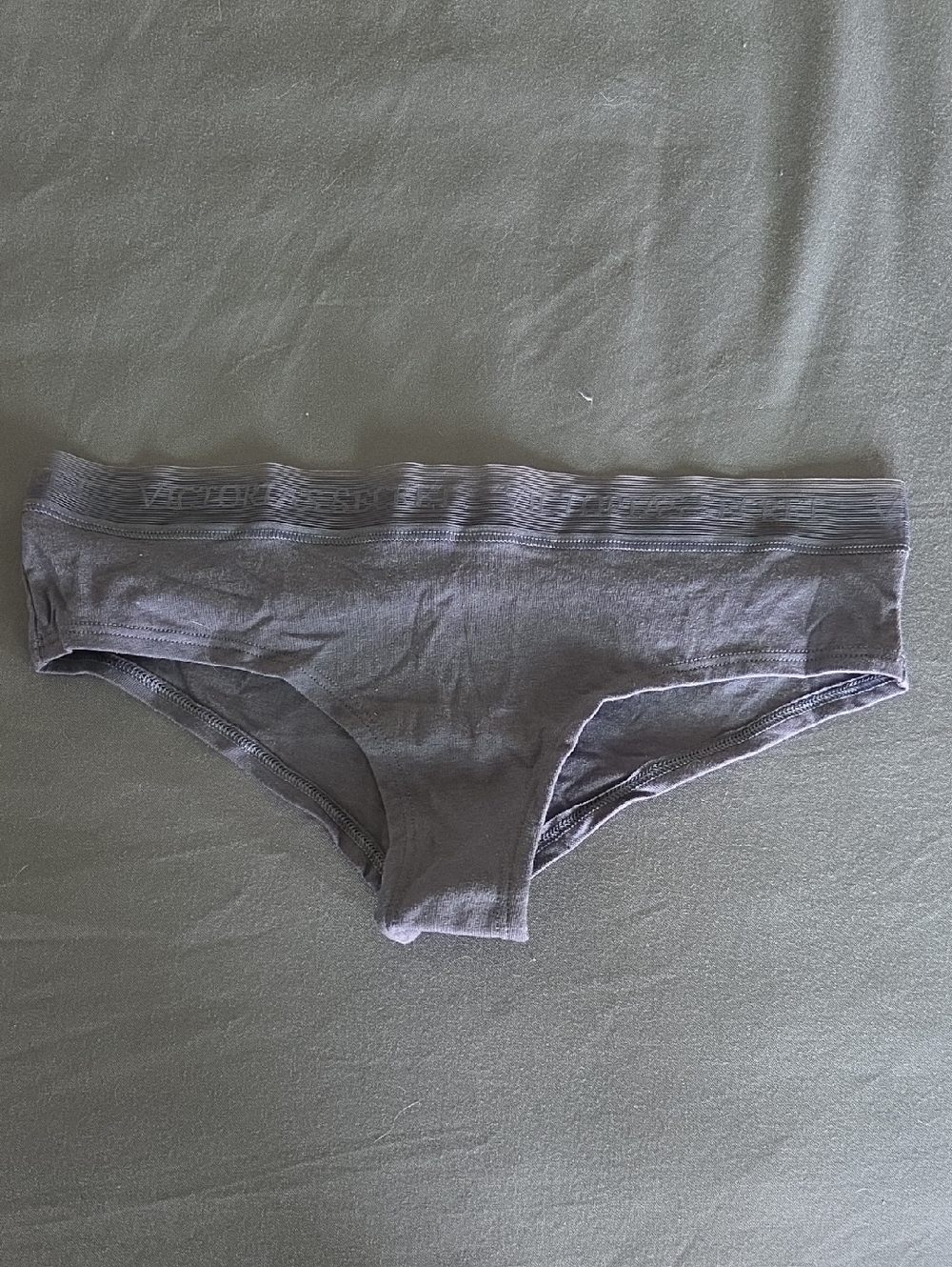 Blue Victoria Secret Cheeky Panties NWT